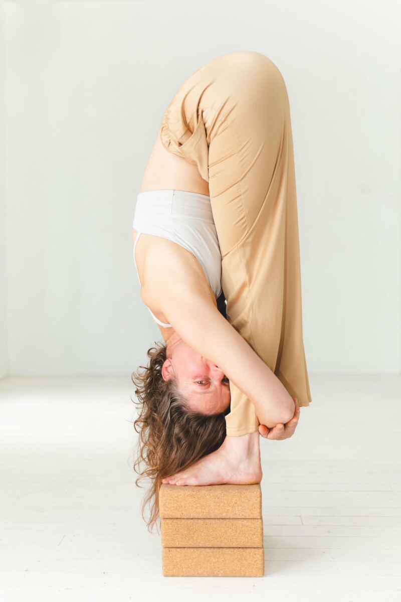 AssistAsana Par Laëtitia Lecuyer