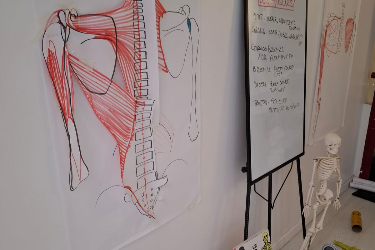 Formation Assistasana