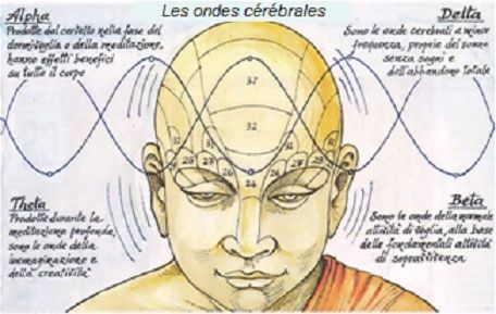Ondes cérébrales