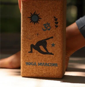 yoga searcher